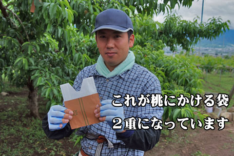 これが桃の袋