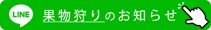 LINEお友だち追加