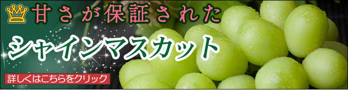 アダチ園のシャインマスカット