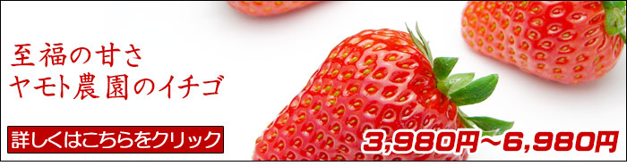 イチゴ