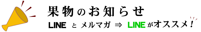 果物販売開始のお知らせは　lineとメルマガ