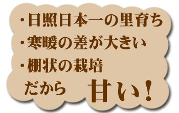 高根のラ・フランスは甘い