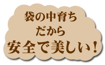 高根のラ・フランスは安全