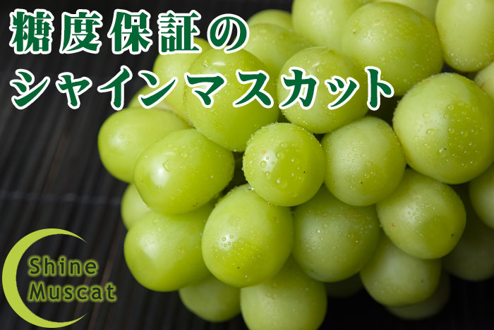 糖度保証の山梨県産シャインマスカット通販・販売