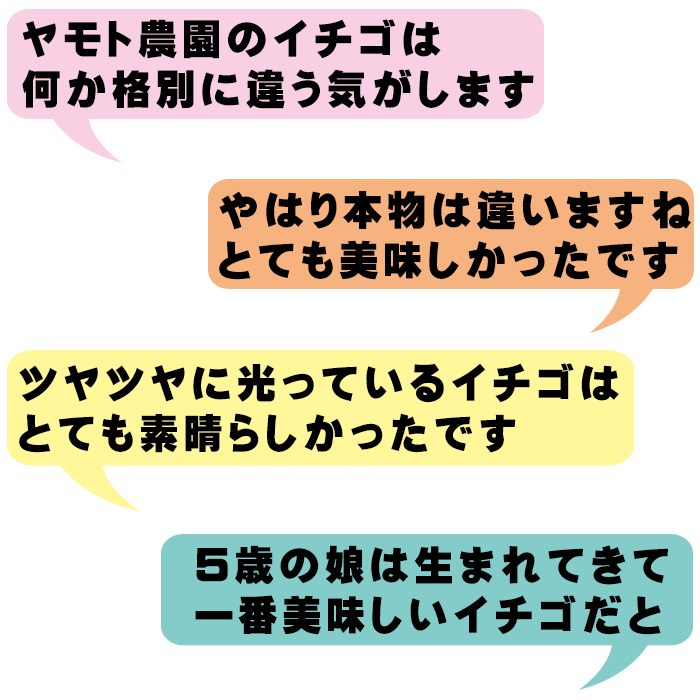 お客様の感想の一部
・ヤモト農園のイチゴは何か格別に違う気がします
・やはり本物は違いますね！とても美味しかったです
・ツヤツヤに光っているイチゴはとても素晴らしかったです
・5歳の娘は生まれてきて一番美味しいイチゴだとほめていました