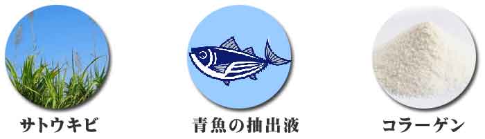 サトウキビ・青魚の抽出液・コラーゲンなどを使う栽培方法で育てたイチゴ