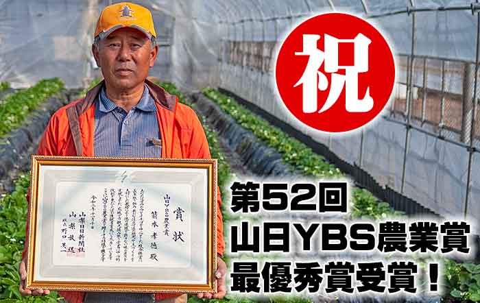 「山日YBS農業賞」最優秀賞「農業賞」も受賞するヤモト農園
