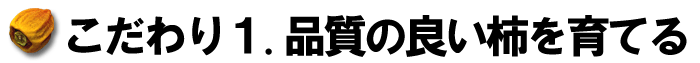 こだわり１品質の良い柿を育てる