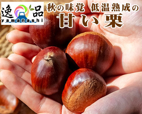 ヤモト農園の甘い栗